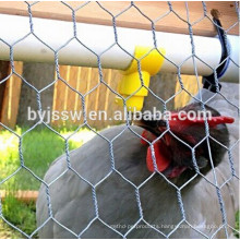 1/4 Inch Chicken Coop Hexagonal Galvanized Wire Mesh